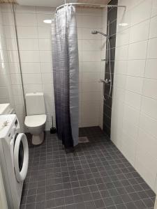 Tilava yksiö isolla lasitetulla parvekkeella