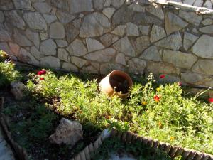 Theasis Guesthouse Korinthia Greece