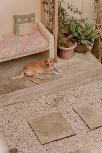 Meraki Siargao Resort