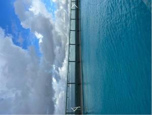 Studio apartment ocean breeze negombo by NB