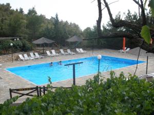 Bungalow - Camping Apollon Parnassos Greece