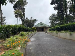 Pittappillil Mountain Lantern