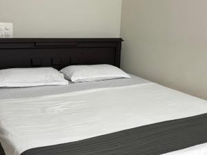 Pittappillil Mountain Lantern