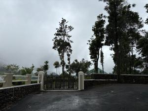 Pittappillil Mountain Lantern