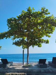 Dolot Guest House Amed Beach