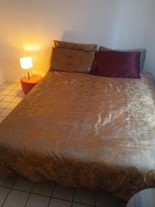 Comme A la Maison chez Domi Coquet T2 avec Jardin Accueil Chaleureux