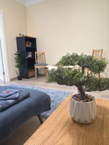 Sea Shell Hideout - 3hvězdičkové hotely ve městě Ventspils