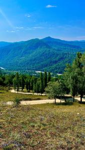 Chogovadzes Guest House