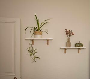 Maisons de vacances Mon idee zen : photos des chambres