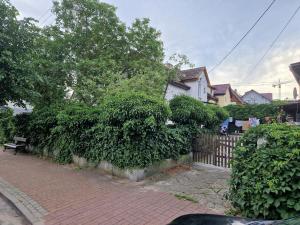 Plaża Beach Strand 4 min