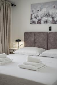 Villa Kamia with private heated pool and electric vehicle adapter