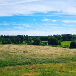 Orielton Fach Farm - Cosy rural lodge in beautiful surroundings