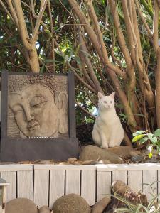 Villa Massada - déconnexion entre pins & mer