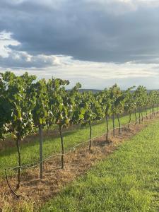 Lusso Retreats - South Burnett - 2 Bedroom Retreat