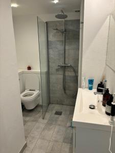 Bright, well furnished apartment