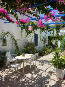 The Garden Rooms & Apartments