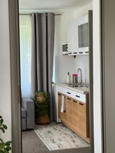 Apartament u Gogoca II