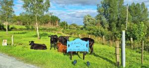 OReillys Bed and Breakfast Killeshandra