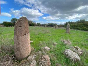 B&B San Leonardo Dualchi img21