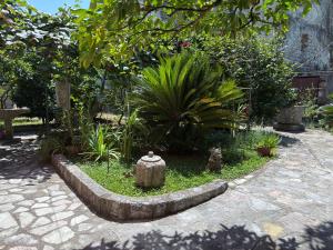 Apartment Pinebreeze - Prčanj - Kotor