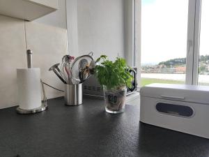 Entire house 20 min from Interlaken