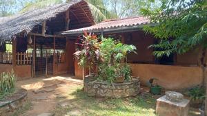 Coconut Villa Homestay