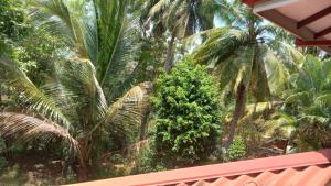Coconut Villa Homestay