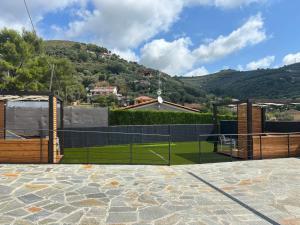 La valle degli ulivi A