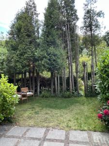 Zen in Schoorl