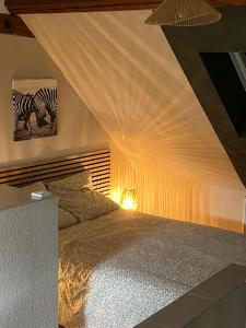 Appartements Les pampas : photos des chambres