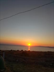 Home Mosè