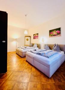 Spacious cozy apartments in centre