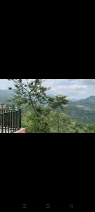 The Mount Breze