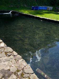 Садиба-дім Эдем Карпат