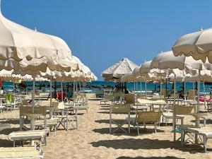 House in the best area