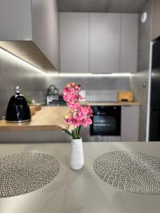 Piast Apartment - free parking