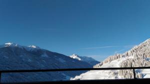 MESH-Mittereggerschneiderhof