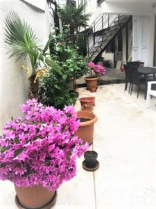 10 b shindisi street,Tbilisi