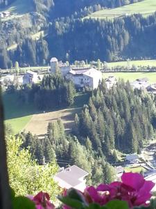 MESH-Mittereggerschneiderhof