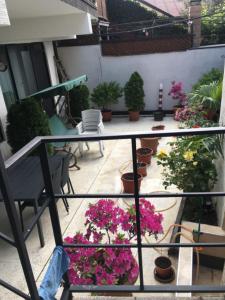 10 b shindisi street,Tbilisi