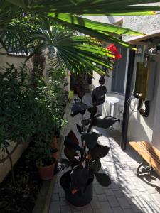 10 b shindisi street,Tbilisi