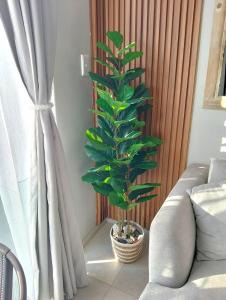 Zimbali Ocean Club F20 Ballito