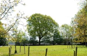 Hoeve aan de Zuurlanderes Tuinhuis