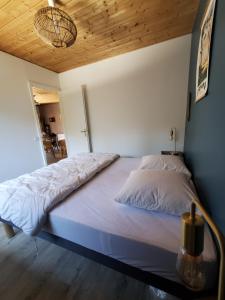 Jolie maison en bois à 600m de la plage des Vergnes