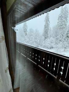 MONTANA TIMALY Poiana Brașov