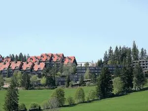 Appartmentvermietung Terrassenpark Schonach - Obertal