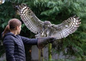 Bird Nest - dine with the eagles Private Retreat
