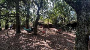 Chalets Le Cabanon entoure de Pins : photos des chambres