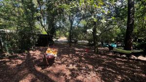 Chalets Le Cabanon entoure de Pins : photos des chambres