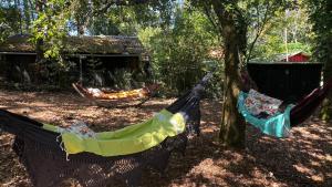 Chalets Le Cabanon entoure de Pins : photos des chambres